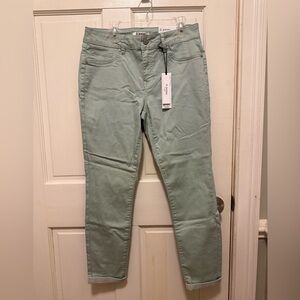 NWT d. jeans Mint Green High Waist Skinny Jeans - Size 8